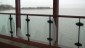 Hoorn